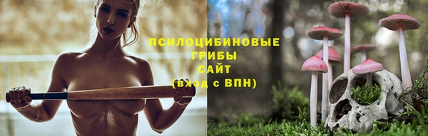 амфетамин Алексин