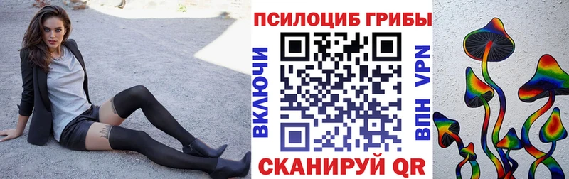 Псилоцибиновые грибы Psilocybe  купить наркотики сайты  Удачный 