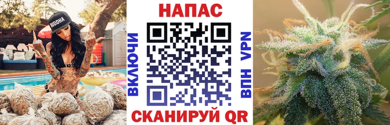 Марихуана конопля mega сайт Удачный